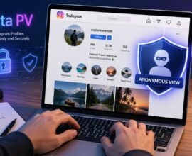 Insta PV: Anonymous Instagram Viewing Guide