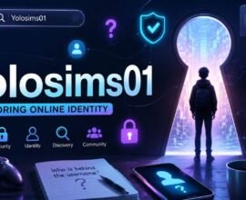 Yolosims01: Meaning, Identity and Online Presence
